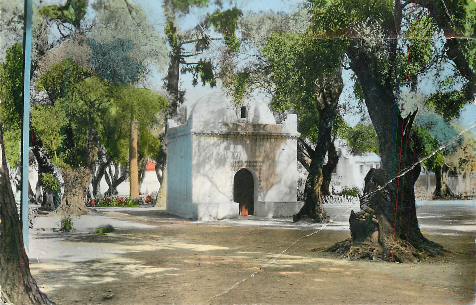 CPM Blida La Kouba de Sidi Yacoule au Bois Sacre