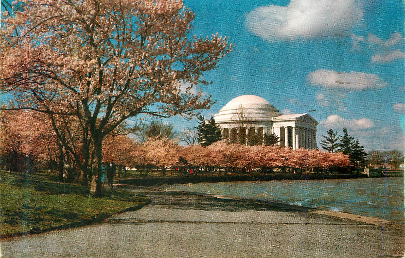 CPM Jefferson Memorial Appears in its most Beautiful Setting Usually early in April When the Cherry Trees are in Bloom