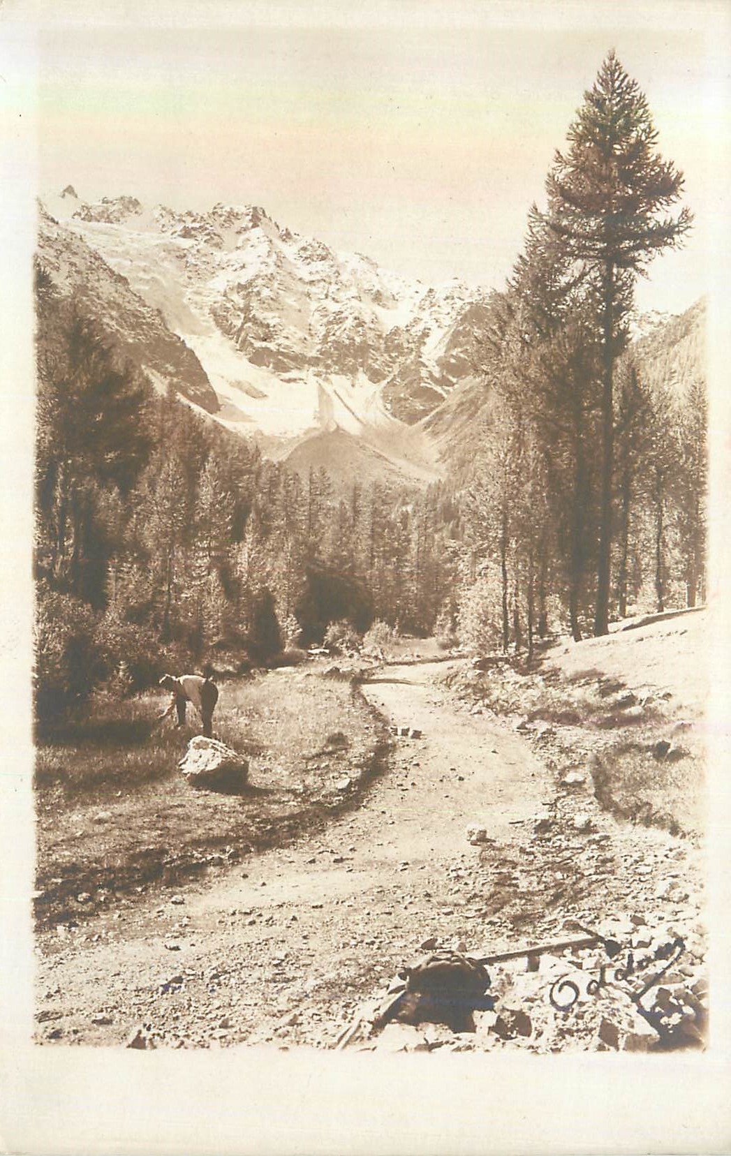 CARTE PHOTO Paysan dans les Alpages