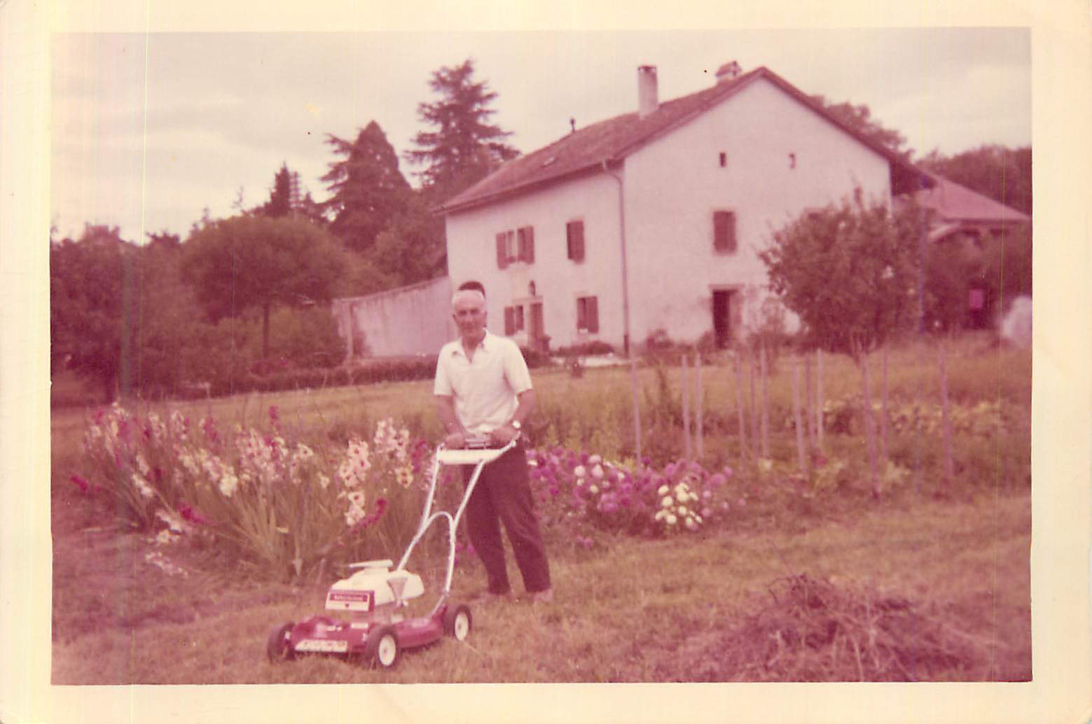 Photo Homme Tondeuse a gazon