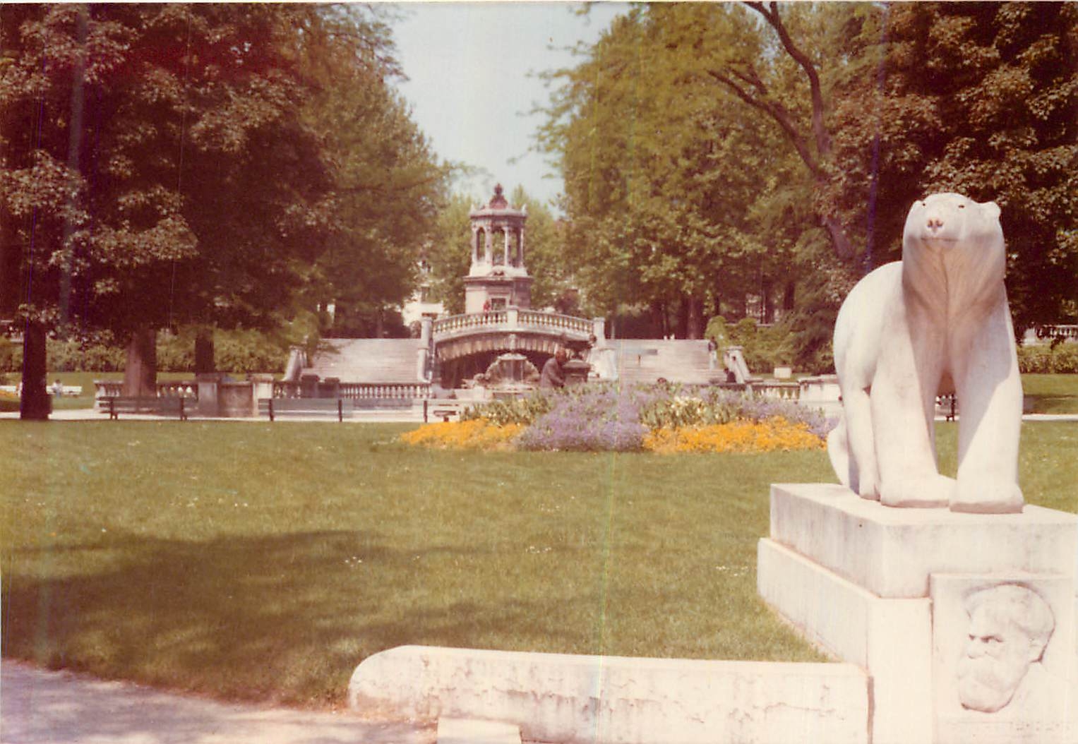 Photo Dijon Square Darcy Mai 7 Ours Blanc