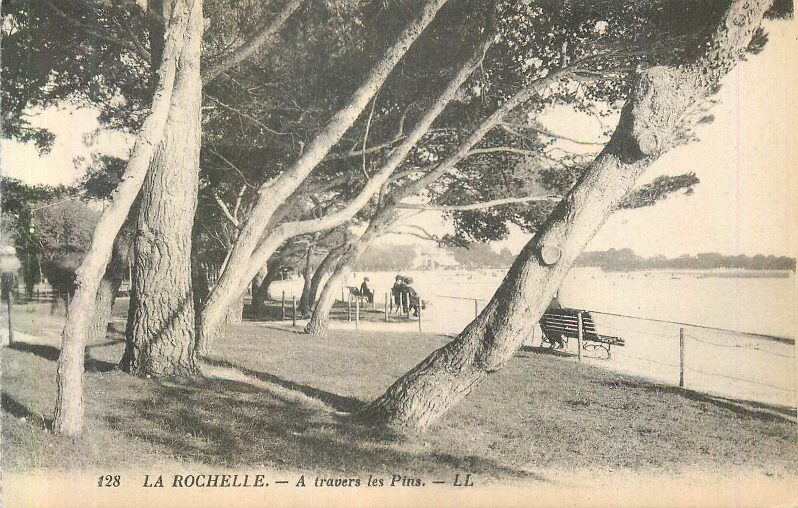 CPA la Rochelle a Travers les Pins