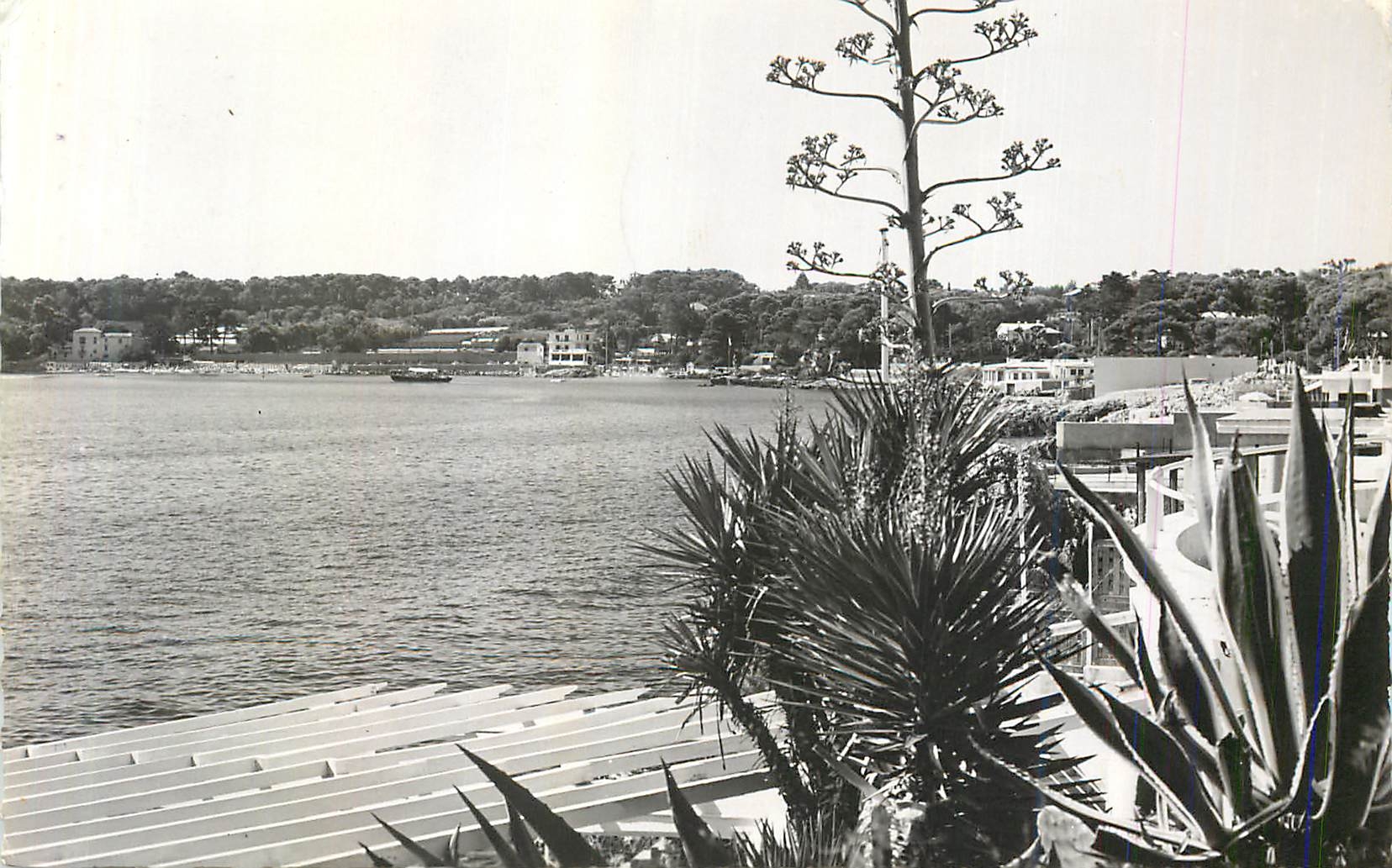 CPM la Garoupe Vue sur la Baie de la Garoupe et les Plages