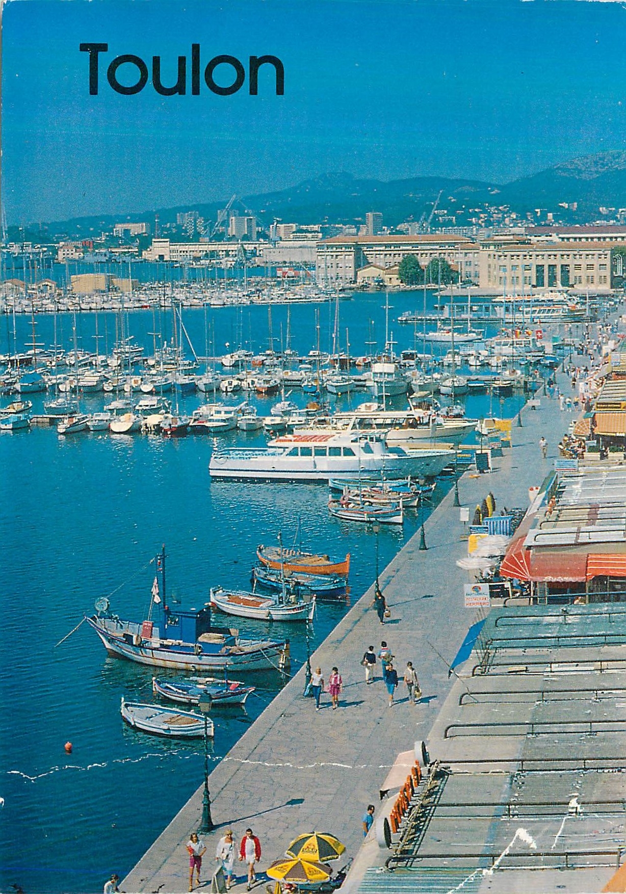 Toulon — Port de plaisance — Éditions J.P. AZUR