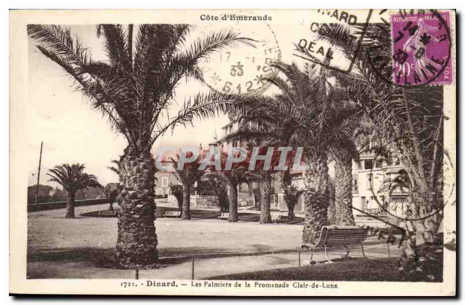 Dinard — Les Palmiers de la Promenade Clair-de-Lune — Côte d’Émeraude