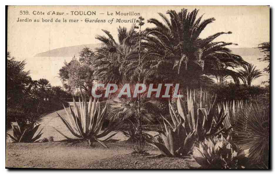 Toulon CPA Le mourillon Jardin au bord de la mer