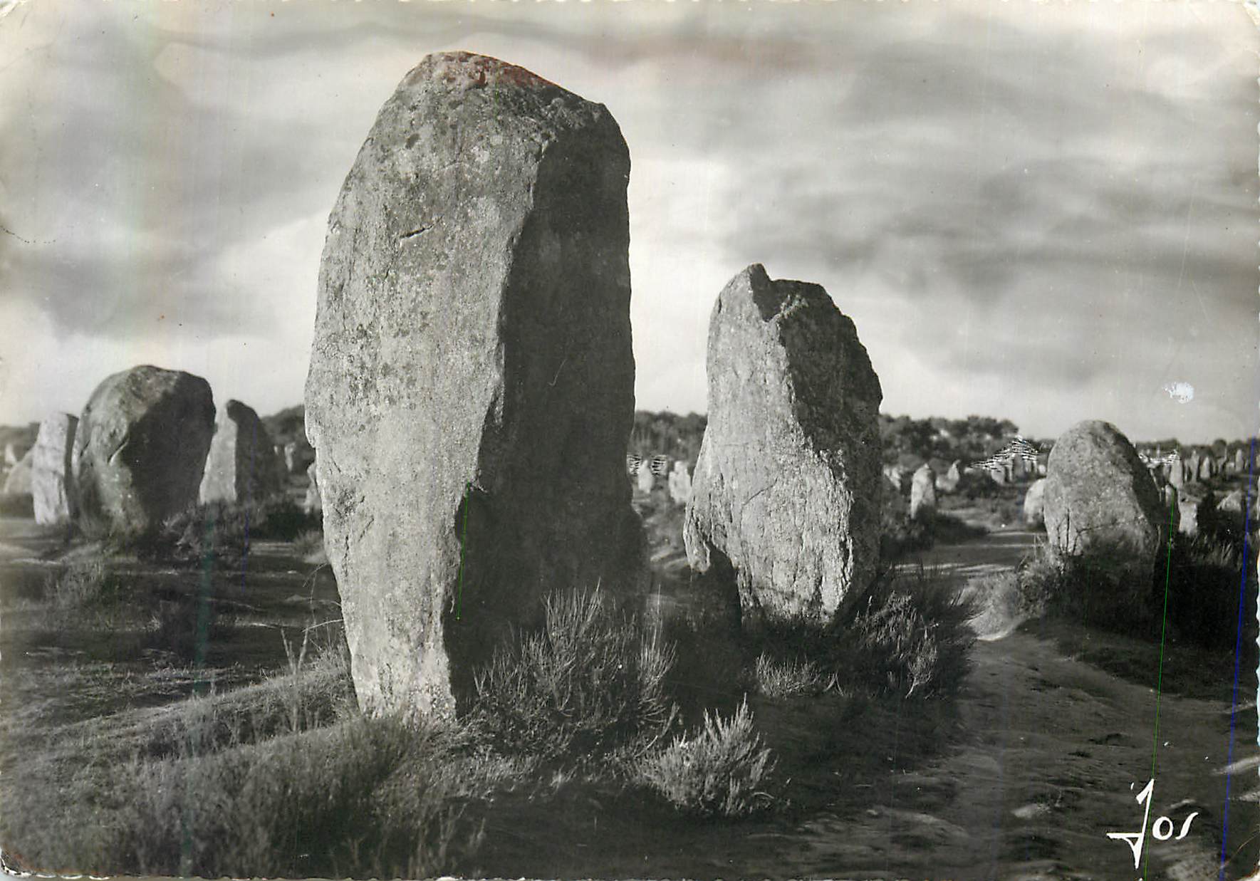 CPM Carnac (Morbihan) Les Alignements du Menec l'Un des Plus Beaux Ensembles Megalithiques