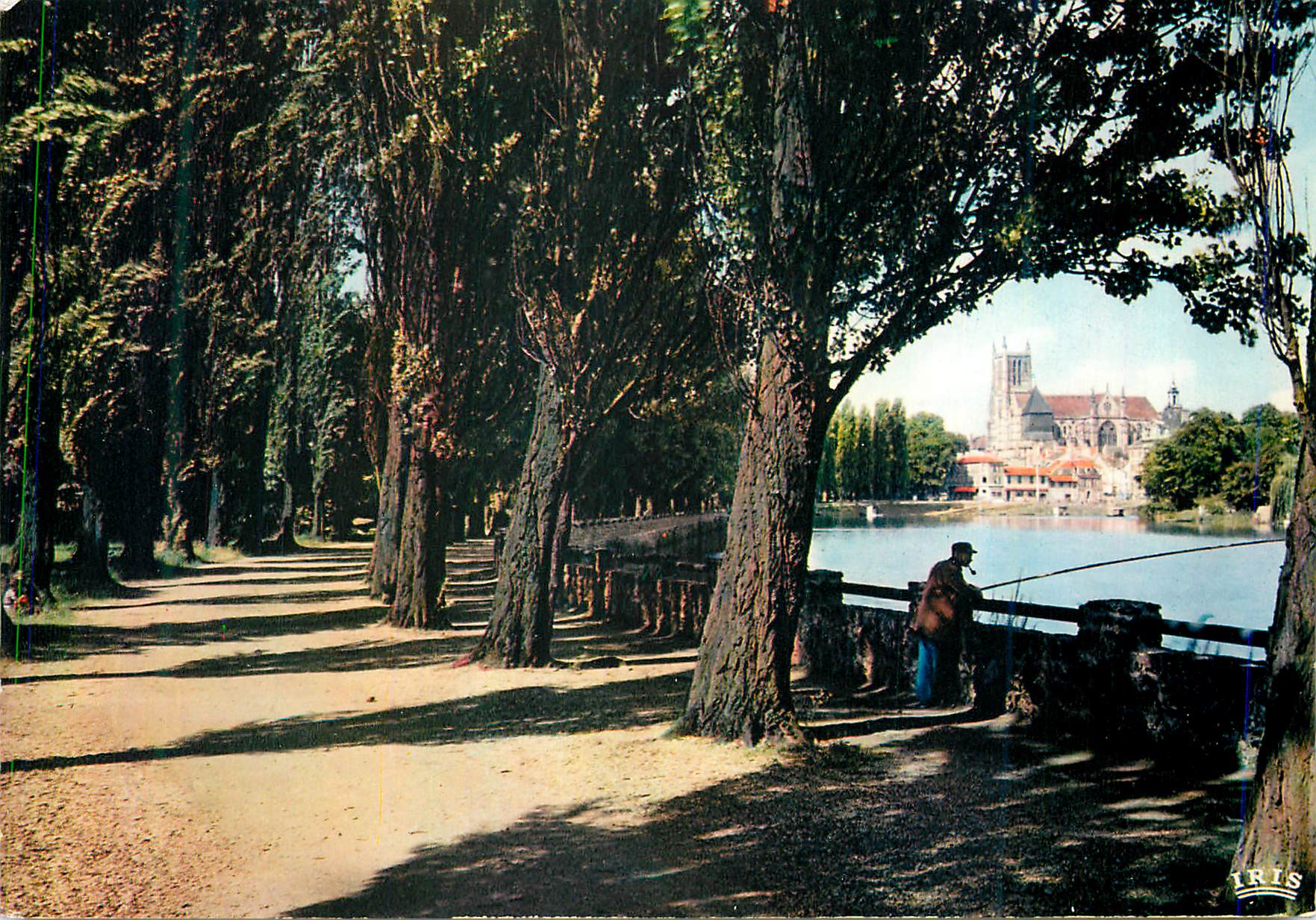 CPM Meaux (Seine et Marne) Promenade des Trinitaires (Creee en 1860) le Long de la Marne Peche