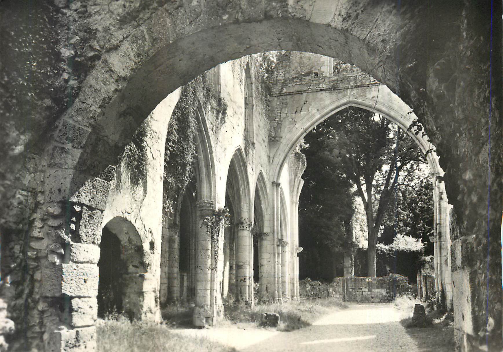 CPM Jumieges (S Mme) Ruines de l'Abbaye Eglise Saint Pierre (Xe XIVe S) Nef Vue de L'Ouest