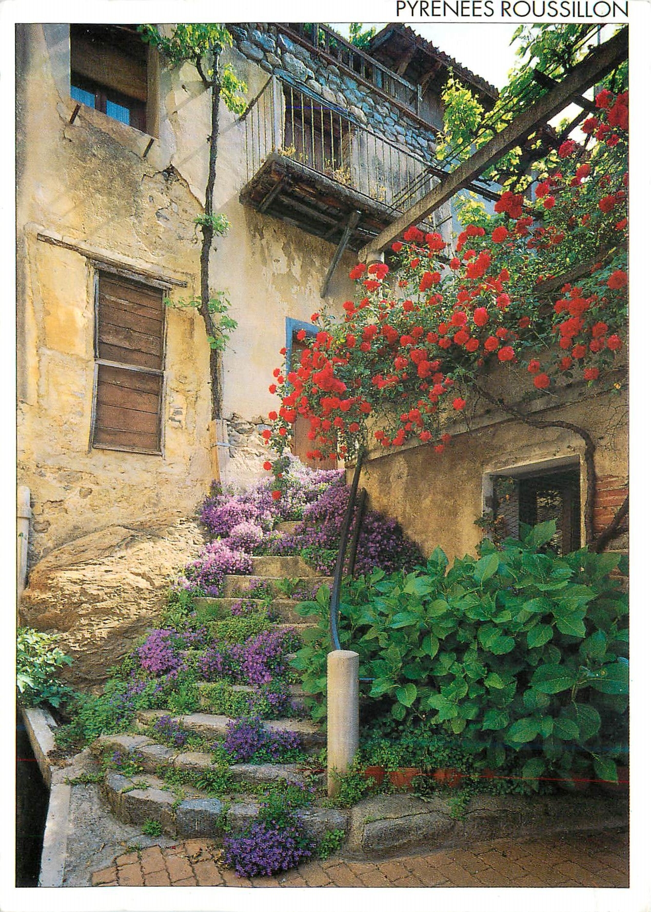 CPM Pyrenees Roussillon Maison Fleurie dans le Vieux Vernet (Conflent) Message du Sud