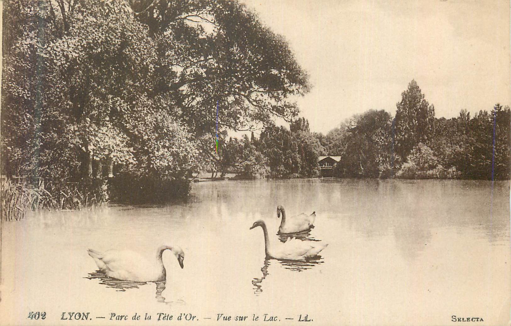 CPA Lyon Parc de la Tete d'Or Vue sur le Lac