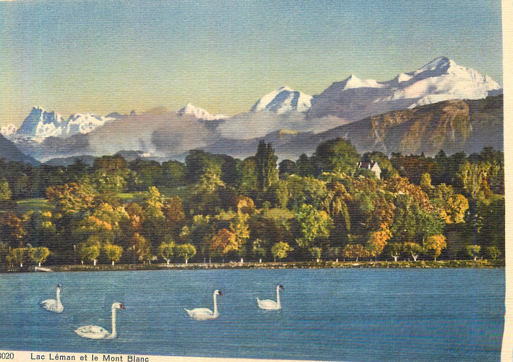 CPM Lac Leman et le Mont Blanc