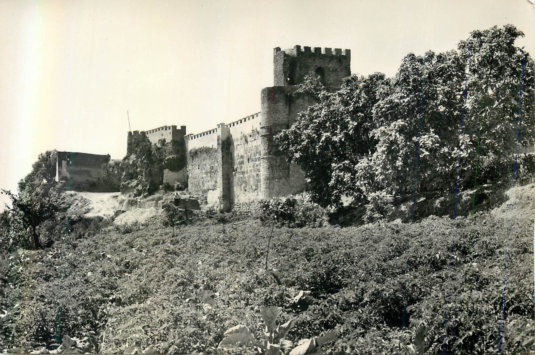CPM Marbella Vue du Chateau Arabe avant Fenicio