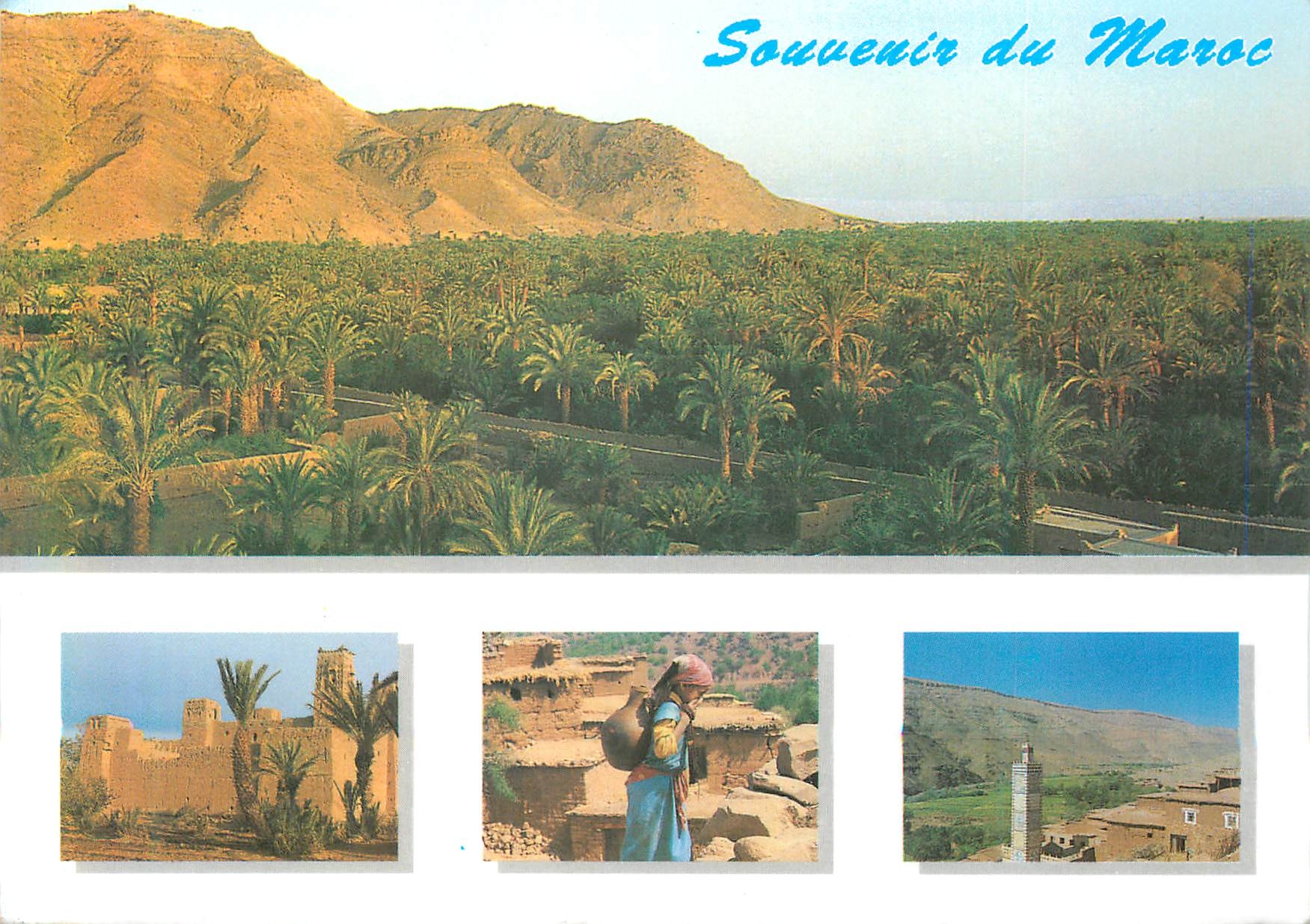 CPM Souvenir de Maroc La Vallee du Draa Sa Palmeraie Ses Kasbahs