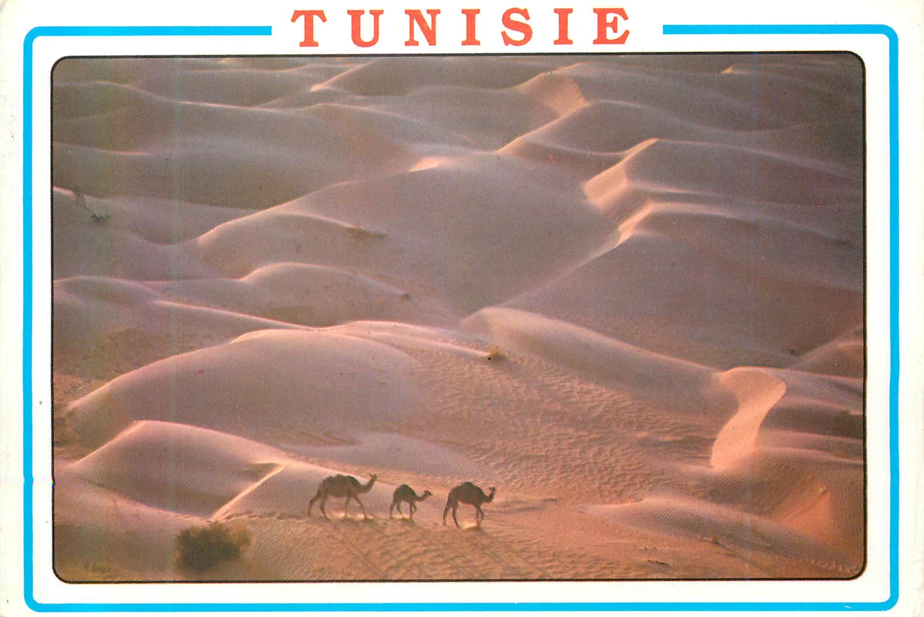 CPM Tunisie Les Dunes du Sahara sud Tunisien