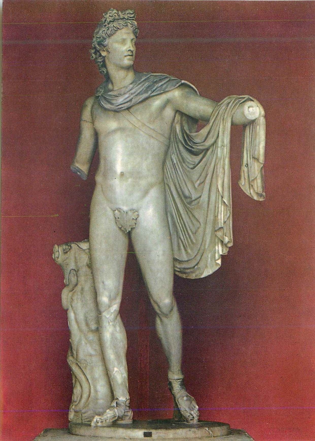 CPM Vaticano COrtile Ottagono Arte Greco Romana Apollon du Belvedere