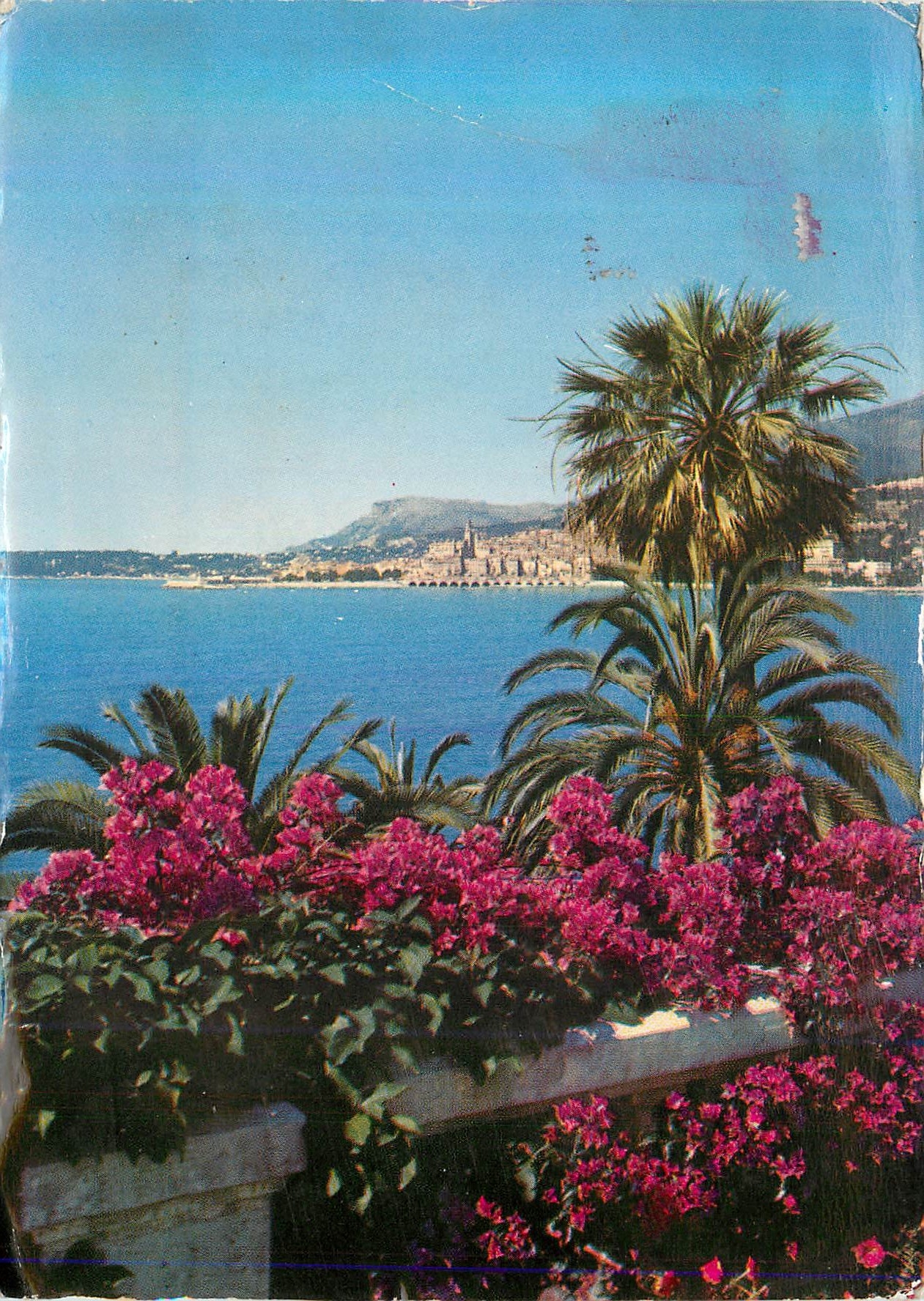CPM Les Sites Merveilleux de la Cote d'Azur Menton (A M) Vue Generale sur Menton prise de Garavan