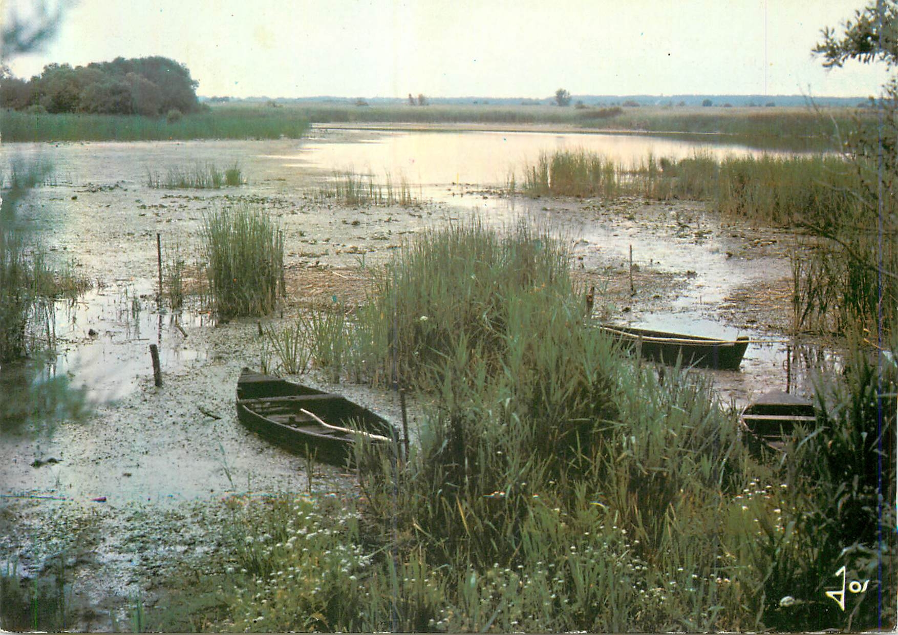 CPM Presqu'Ile de Guerande La Bretagne en Couleurs Les Chalands sur les Bords d'une Pillarde