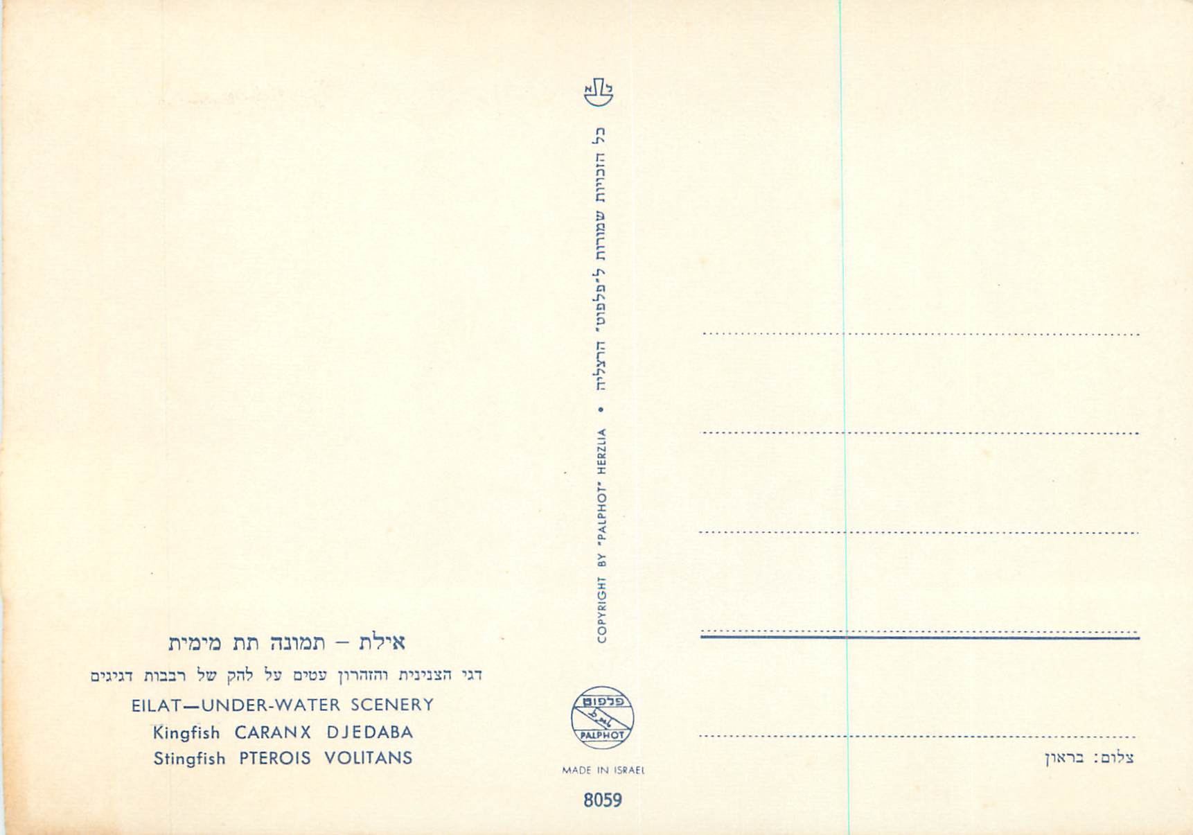 CPM Eilat Under Water Scenery Kingfish Caranx Djedaba Stingfish Pterois Volitans — Verso