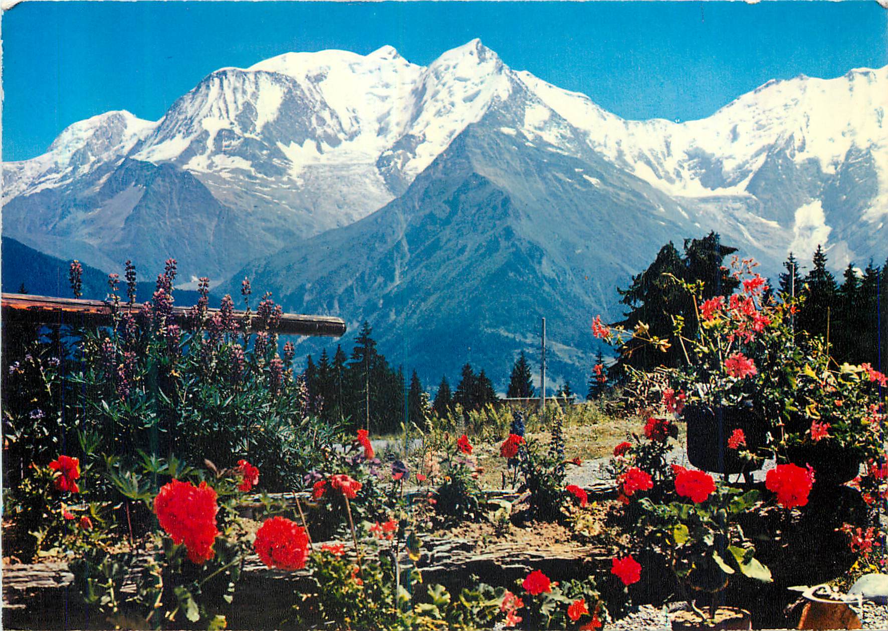 CPM Nos Belles Alpes Le Massif du Mont Blanc (4 807 m)