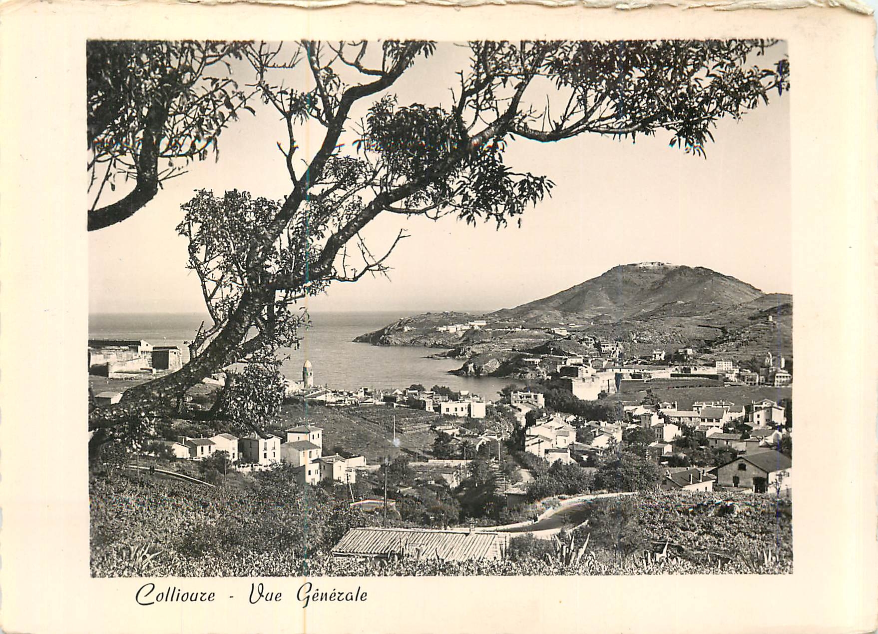 CPM Collioure Vue Generale sur la Ville et la Cote Vermeille