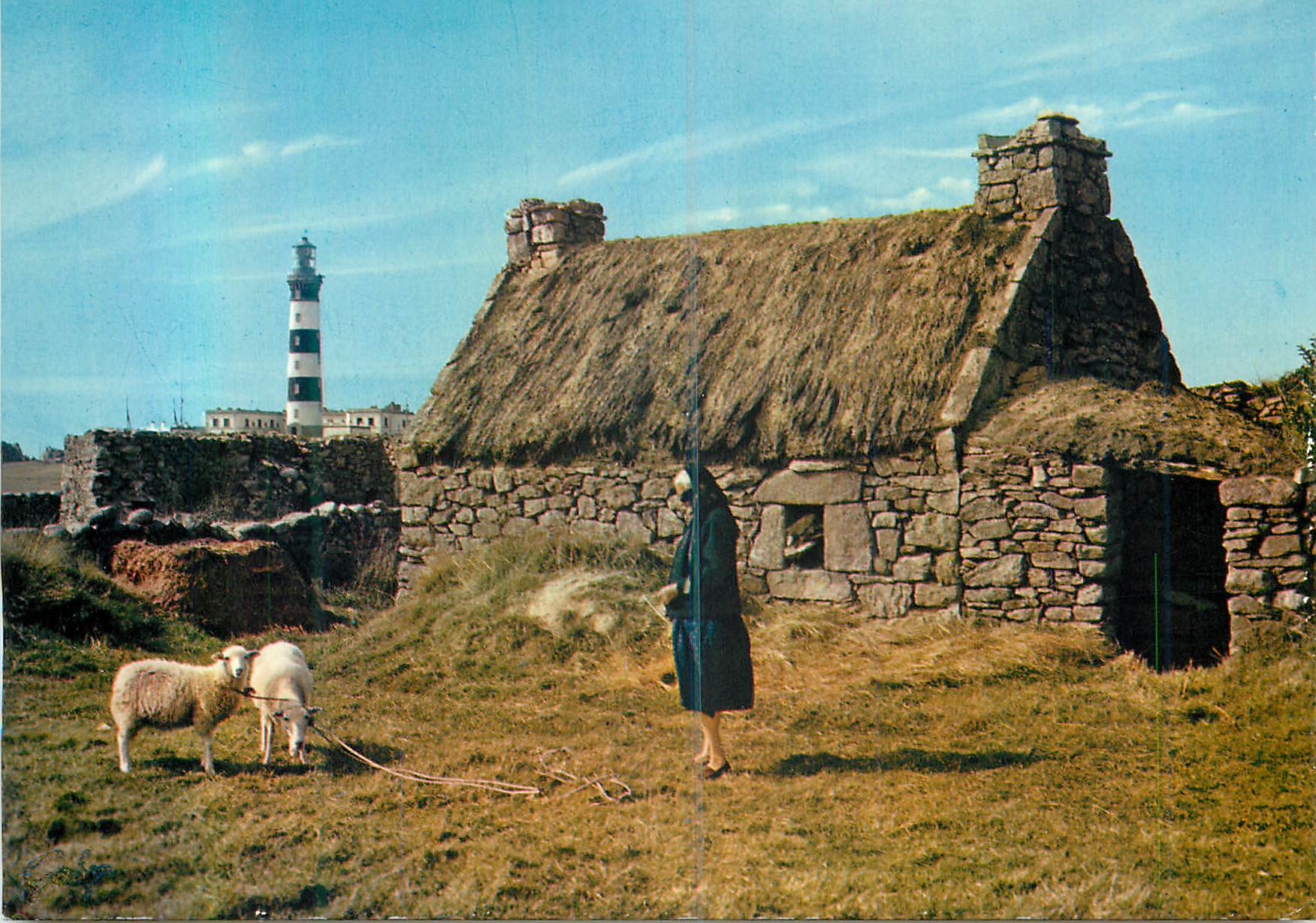 CPM Chaumiere de Bretagne a L'Ile d'Ouessant (N Fim) Moutons
