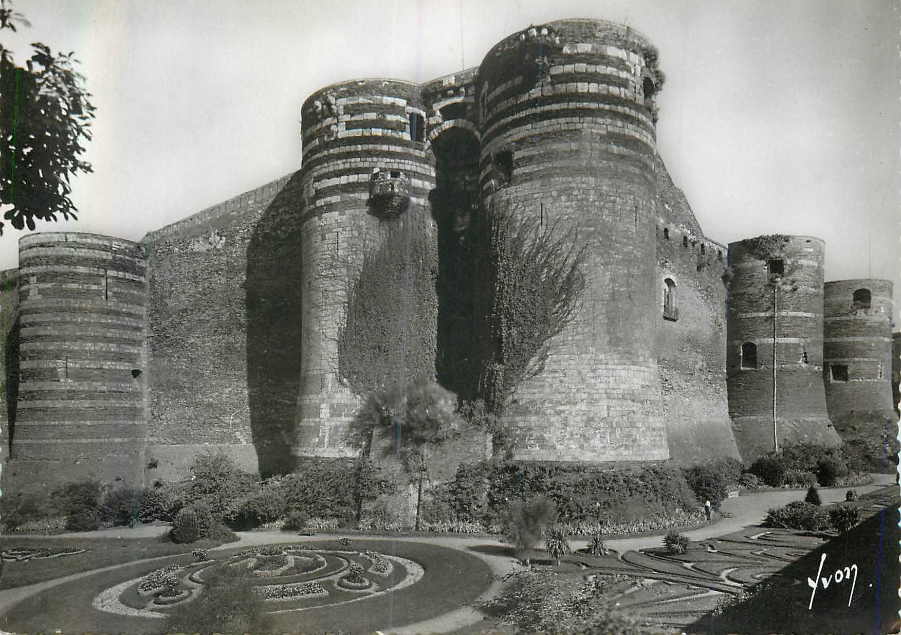 CPM Angers (Maine et Loire) Le Chateau