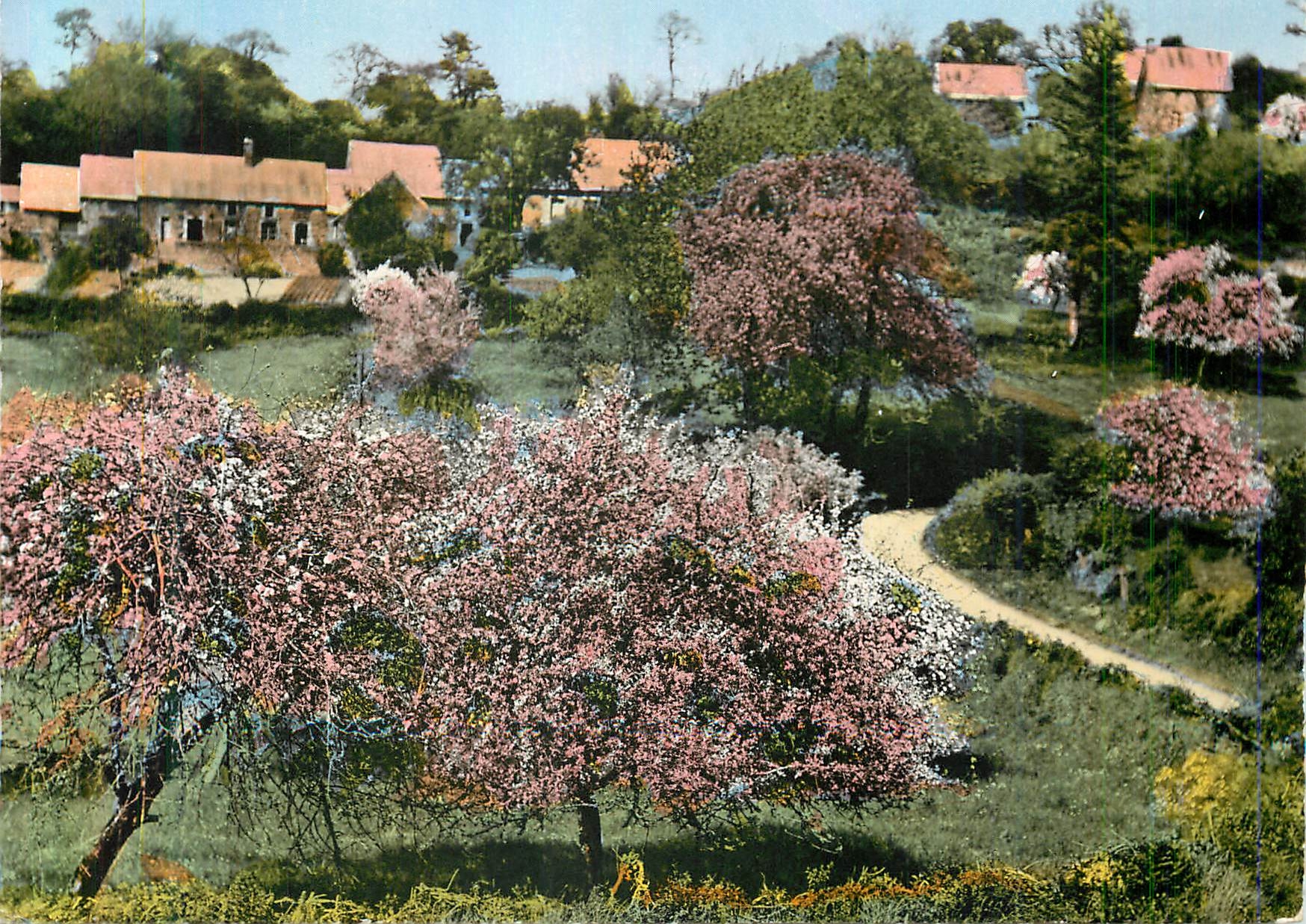 CPM la Normandie Pittoresque le Chemin Creux