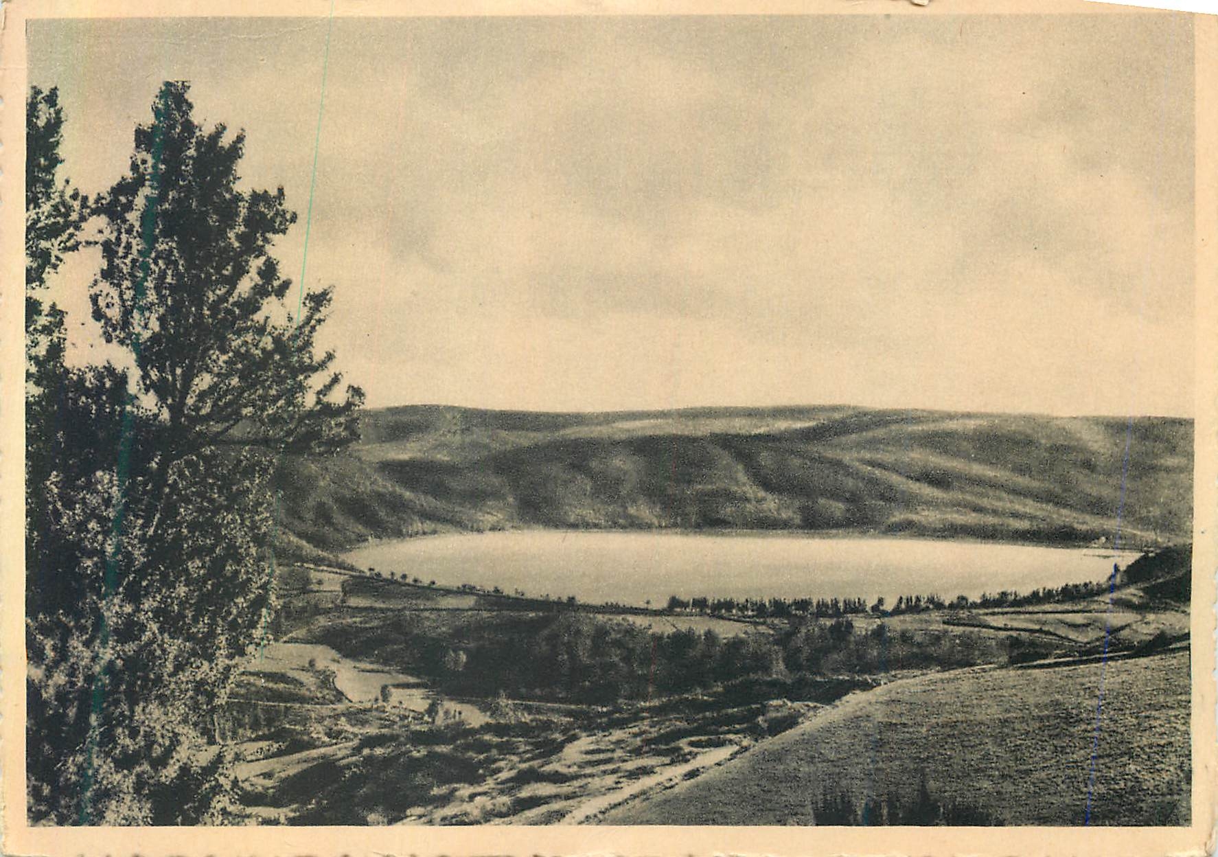 CPM Lac d'Issarles (Ardeche) alt 1000m Vue Panoramique Superficie 91 Hectares