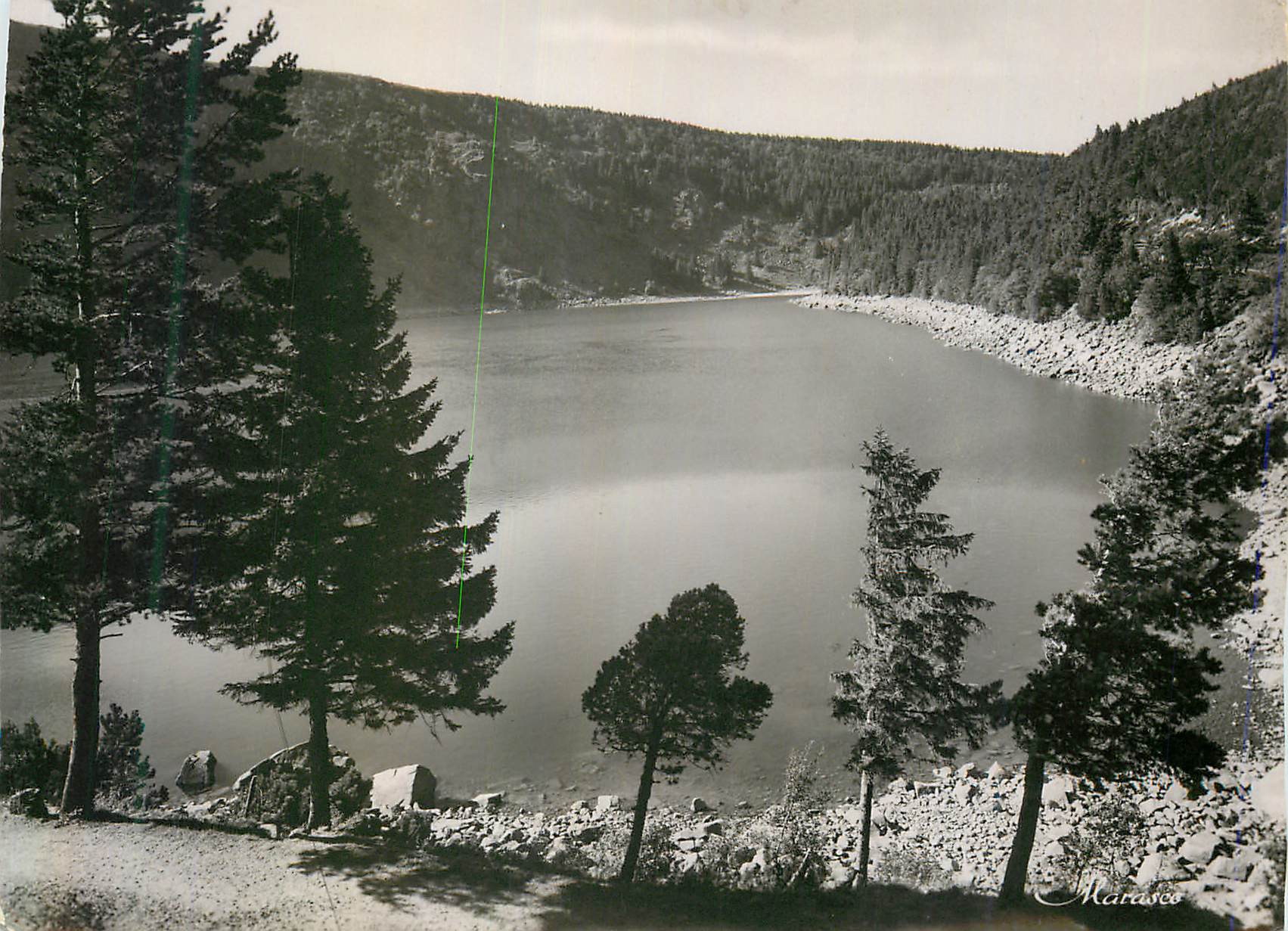CPM le Lac Blanc (alt 1054m) les Hautes Vosges