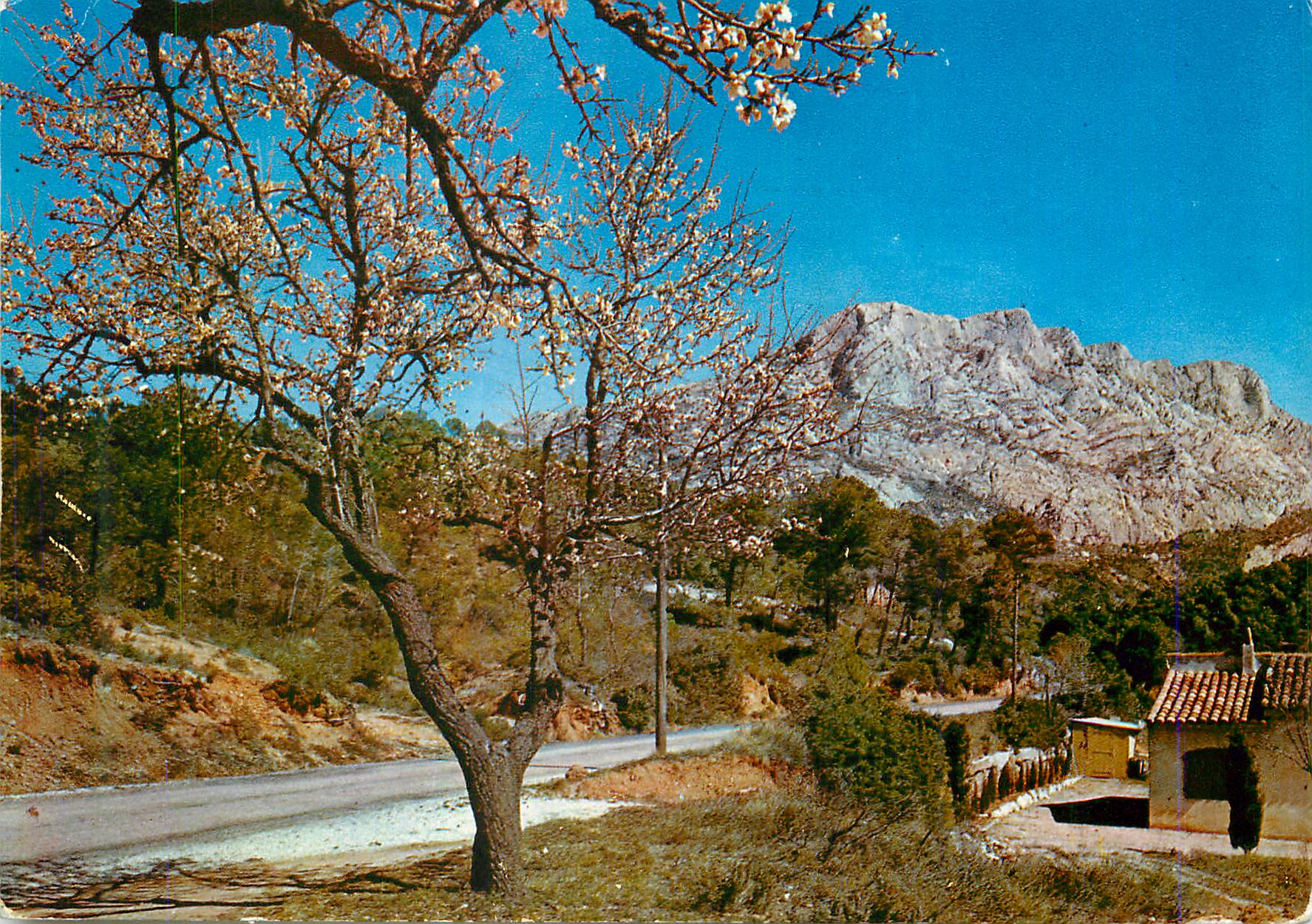 CPM Environs d'Aix en Provence Montagne Sainte Victoire (1011 Metres)