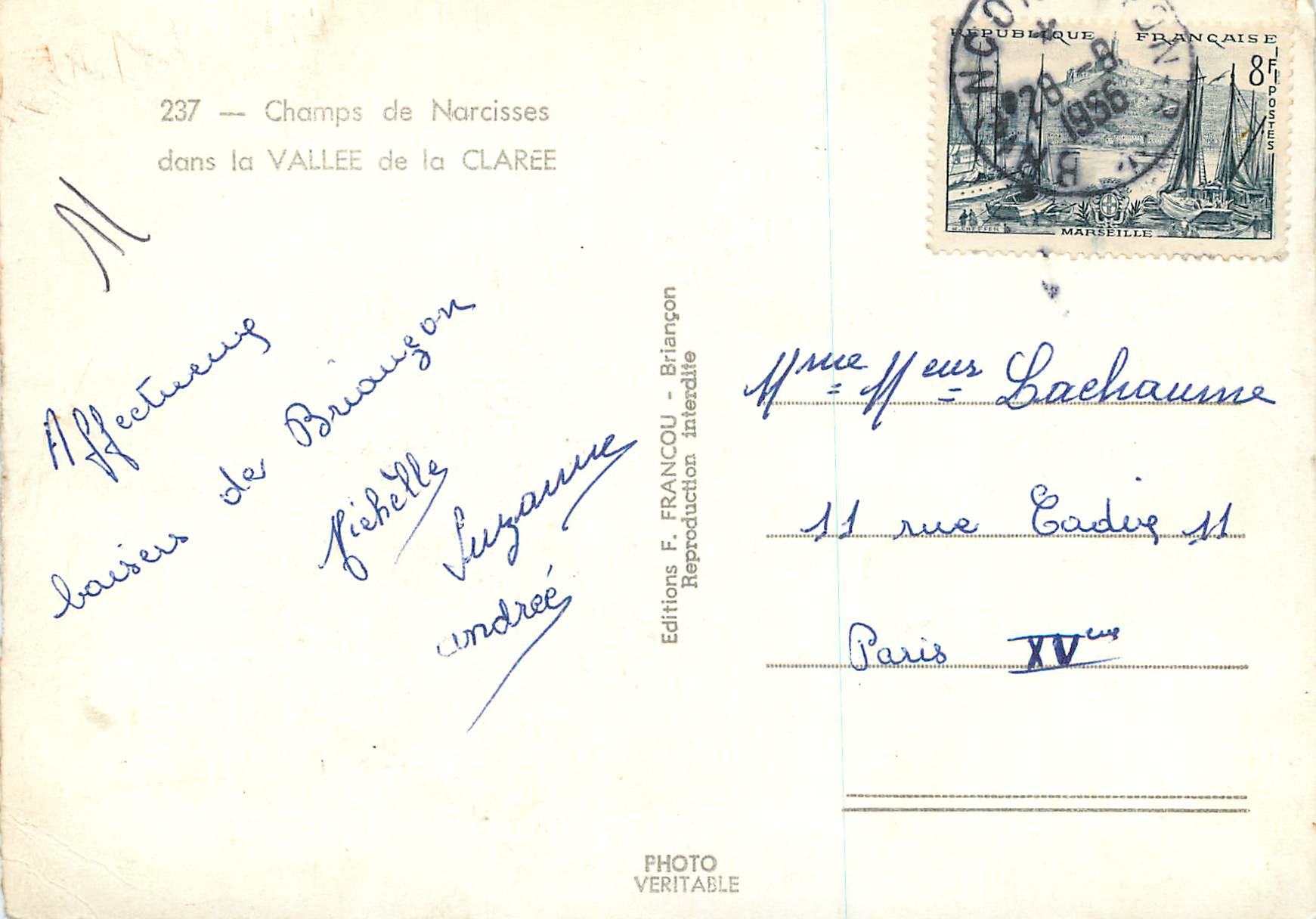 CPM Champs de Narcisses dans la Vallee de la Claree — Back
