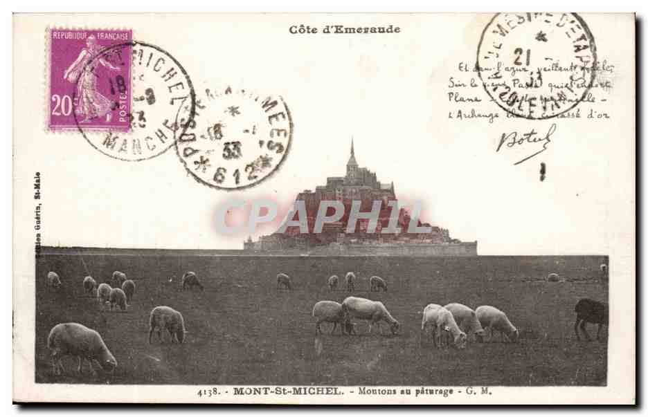 Abbaye du Mont Saint Michel CPA Le Mont Moutons