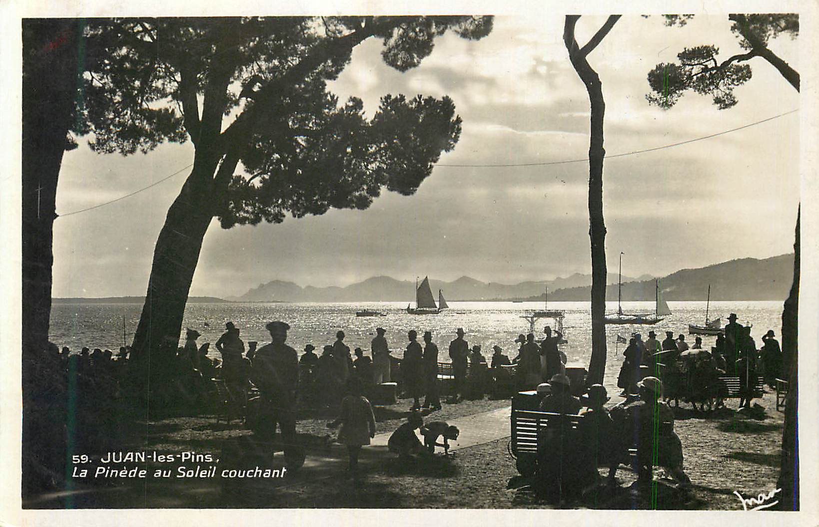 CPM Juan Les Pins La Pinede au Soleil Couchant