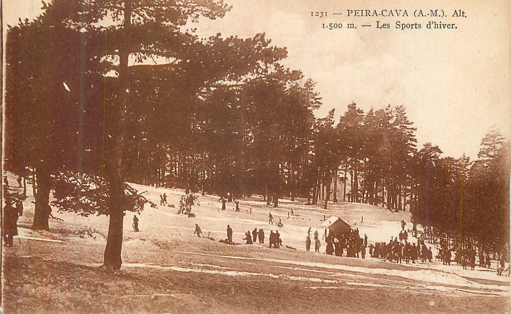 REPRO Peira Cava (A M) alt 1500 m Les Sports d'Hiver