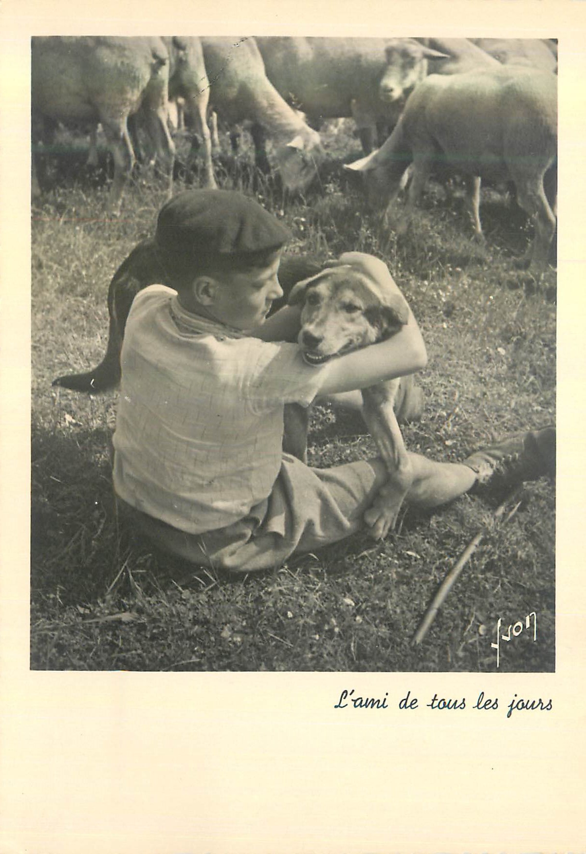 CPM l'Ami de Tous les Jours Chien Enfant Moutons