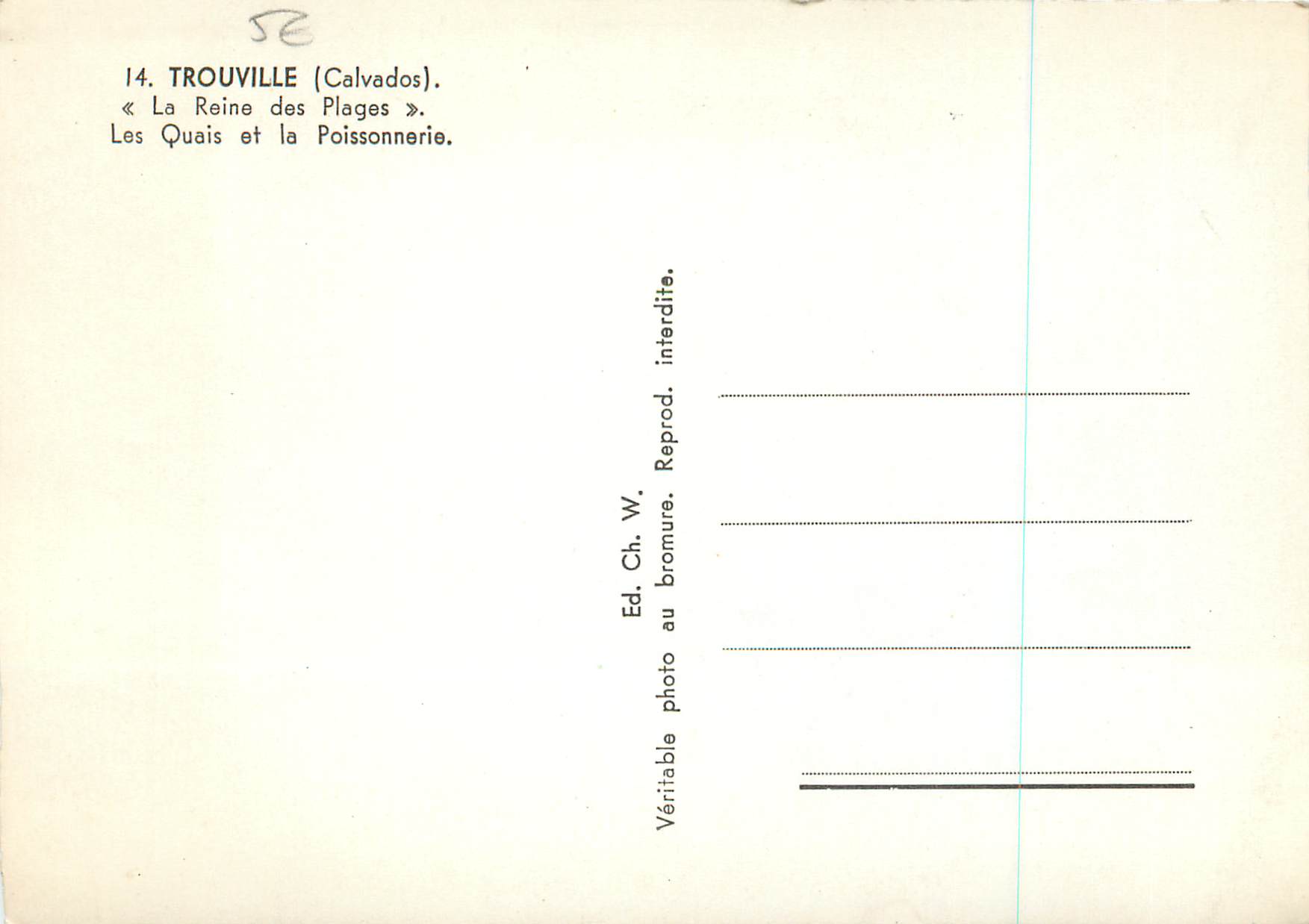 CPM Trouville (Calvados) la Reine des Plages Les quais et la poissonnerie Bateaux de peche — Verso
