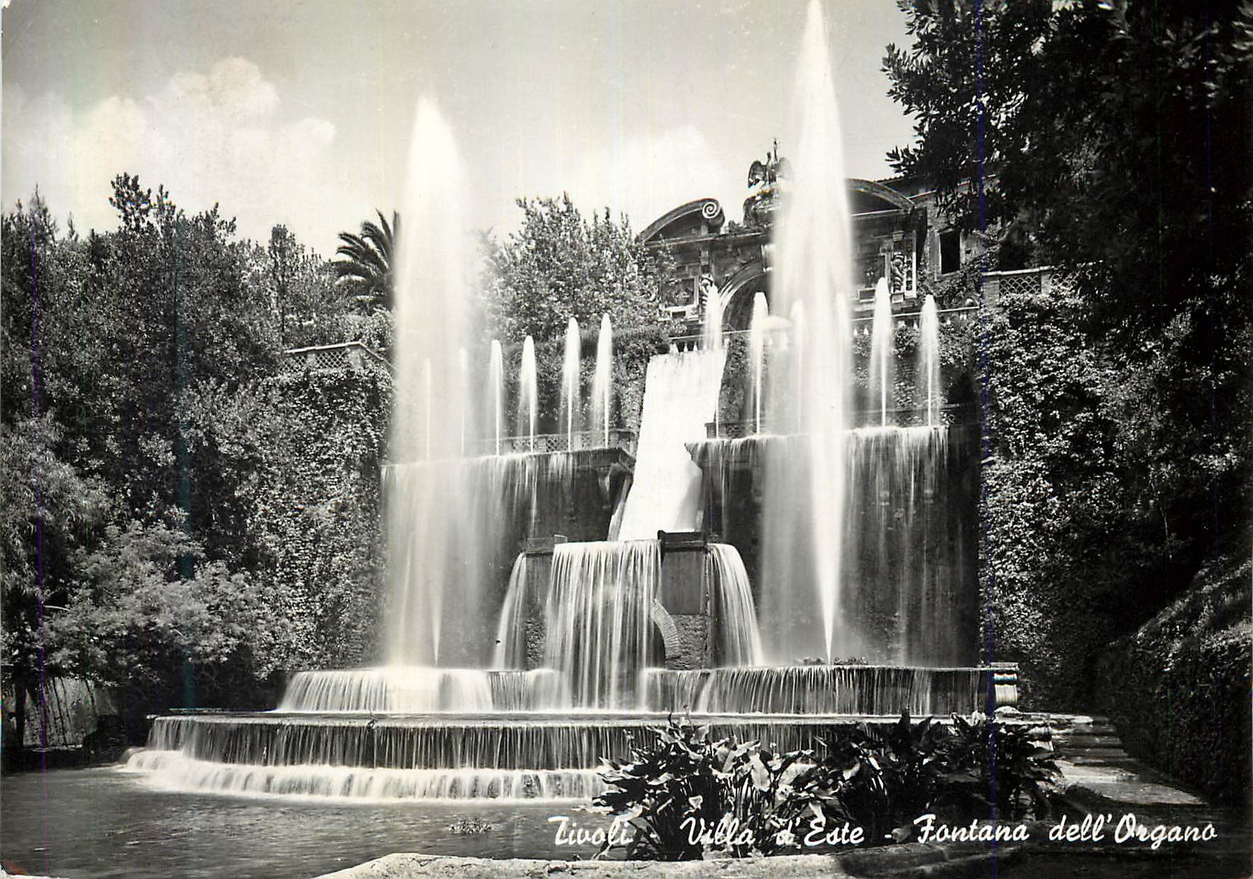 CPM Tivoli Villa d'Este Tontana dell'Organo