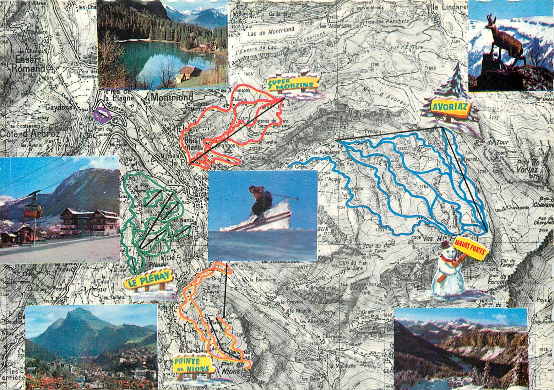 CPM Les Petites de Morzine (Haute Savoie) Alt 1000 m