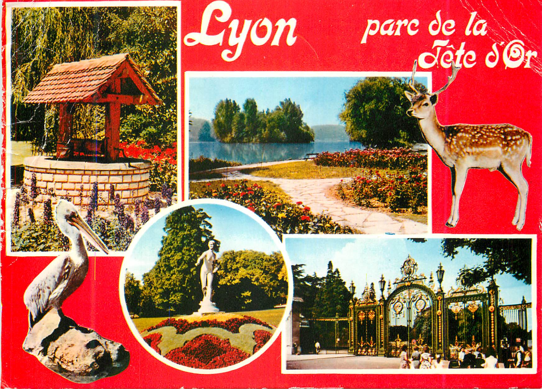 CPM Lyon (Rhone) Parc de la Tete d'Or