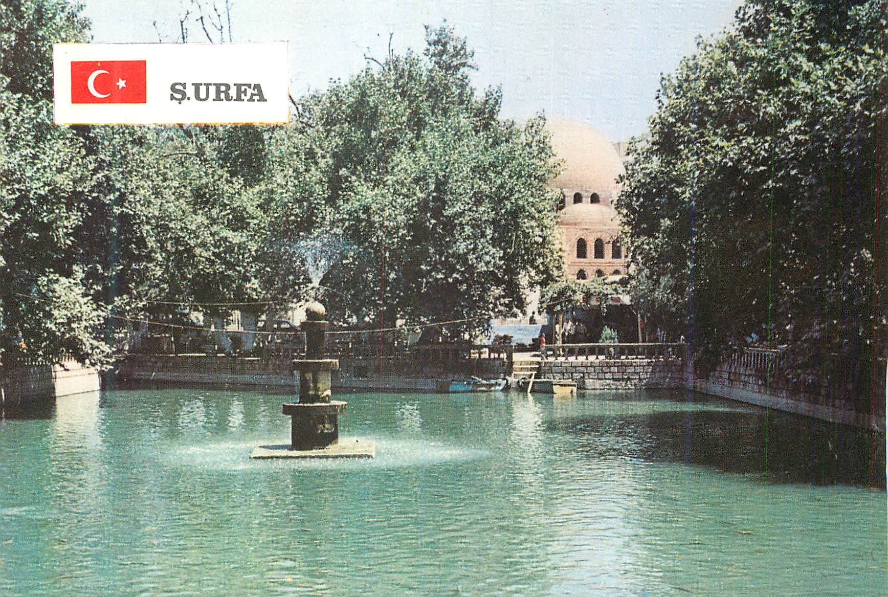 CPM Surfa Hali Urrahman Yeni Camii ve Aym Zuleyha Golu