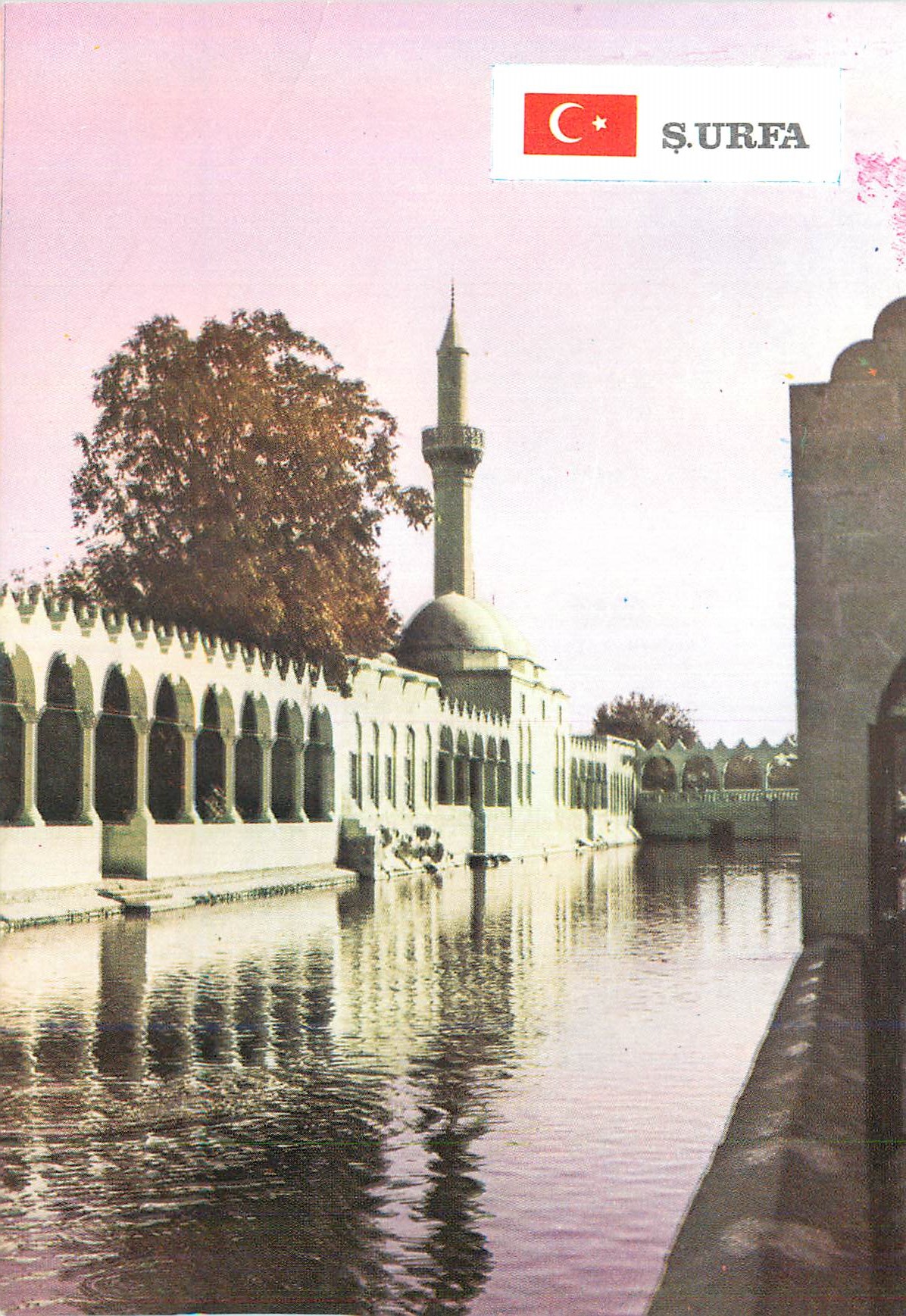 CPM Surfa Rizvaniye Camii ve Balikli Gol