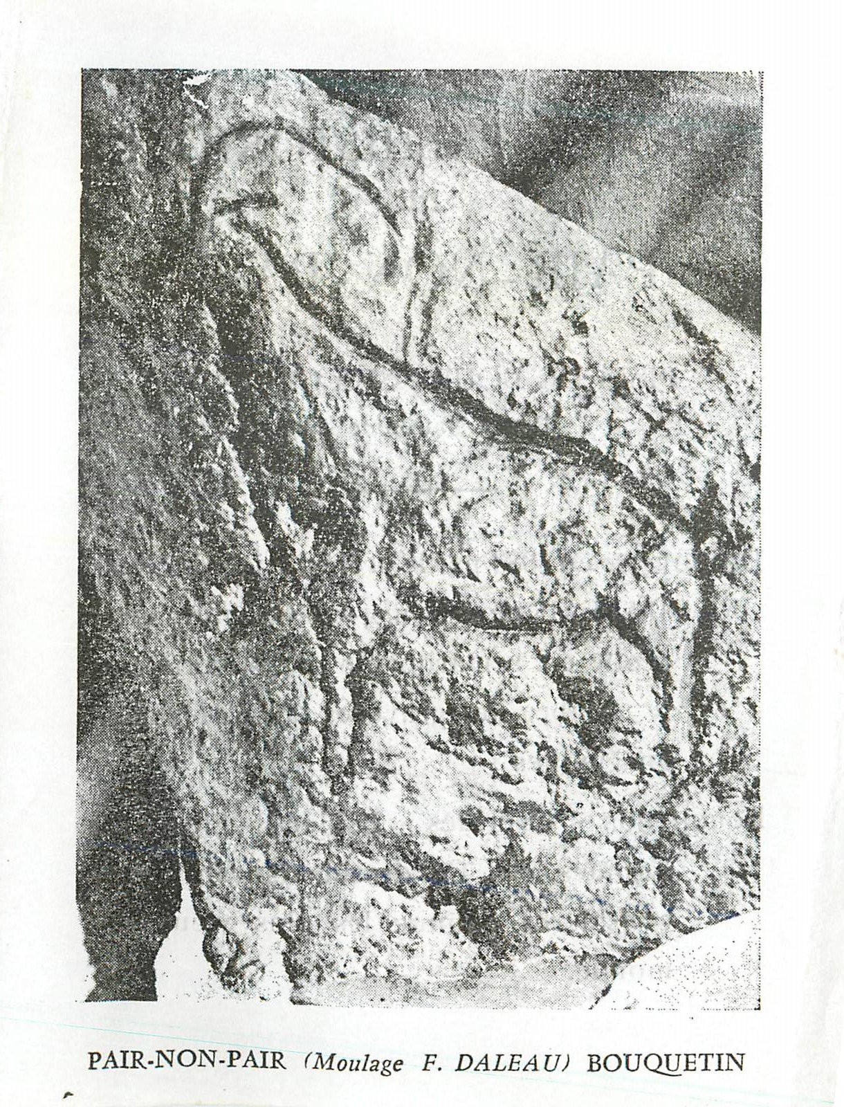 CPM Pair Non Pair Grotte Prehistorique Pres de Bourg sur Gironde (Moulage F Daleau) Bouquetin