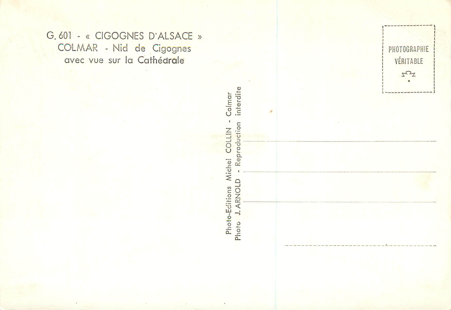 CPM Colmar Cigognes d'Alsace Nid de Cigognes avec vue sur la Cathedrale — Rückseite
