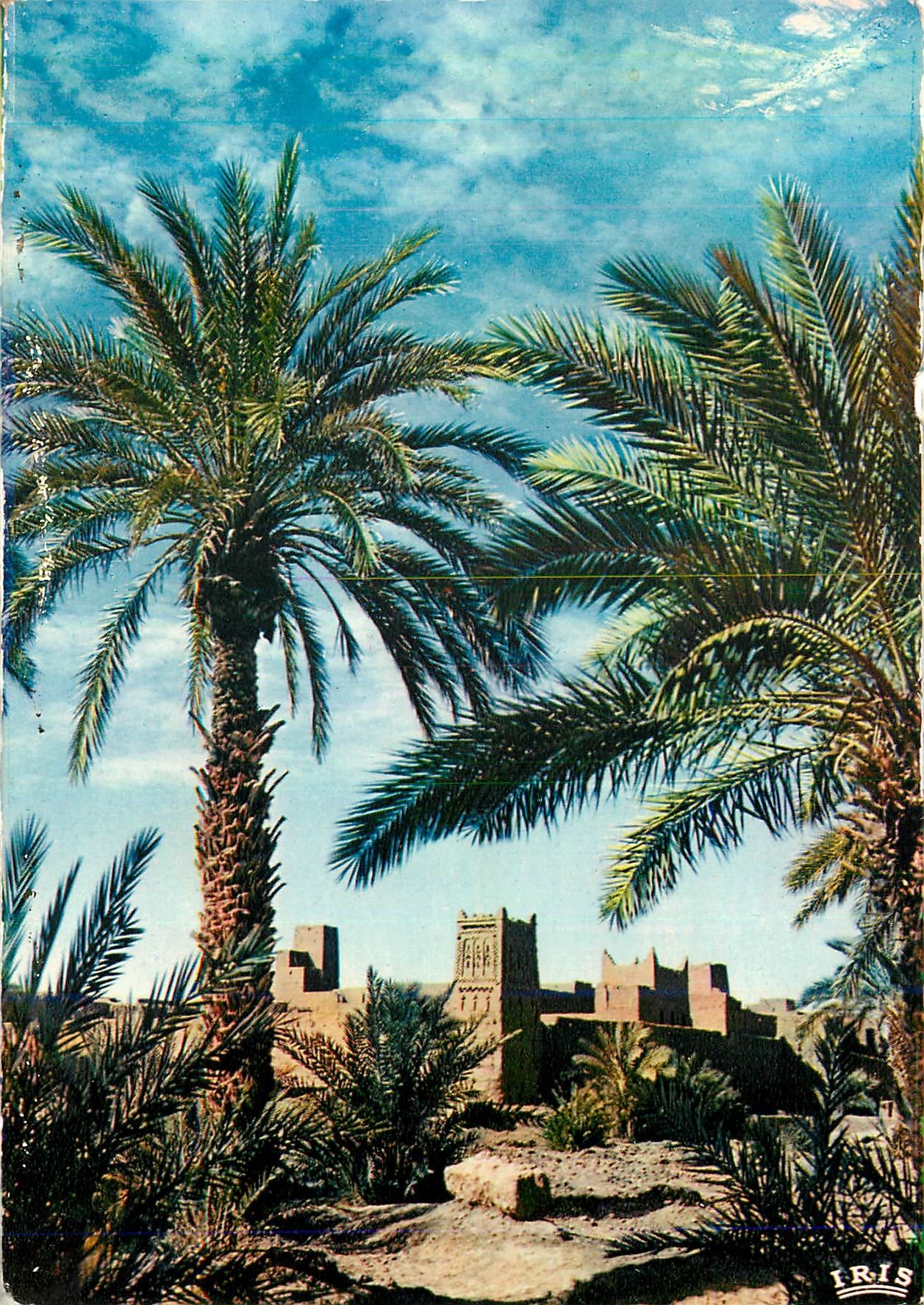 CPM Sud Marocain Region de Ouarzazate Ksour dans la Vallee du Draa