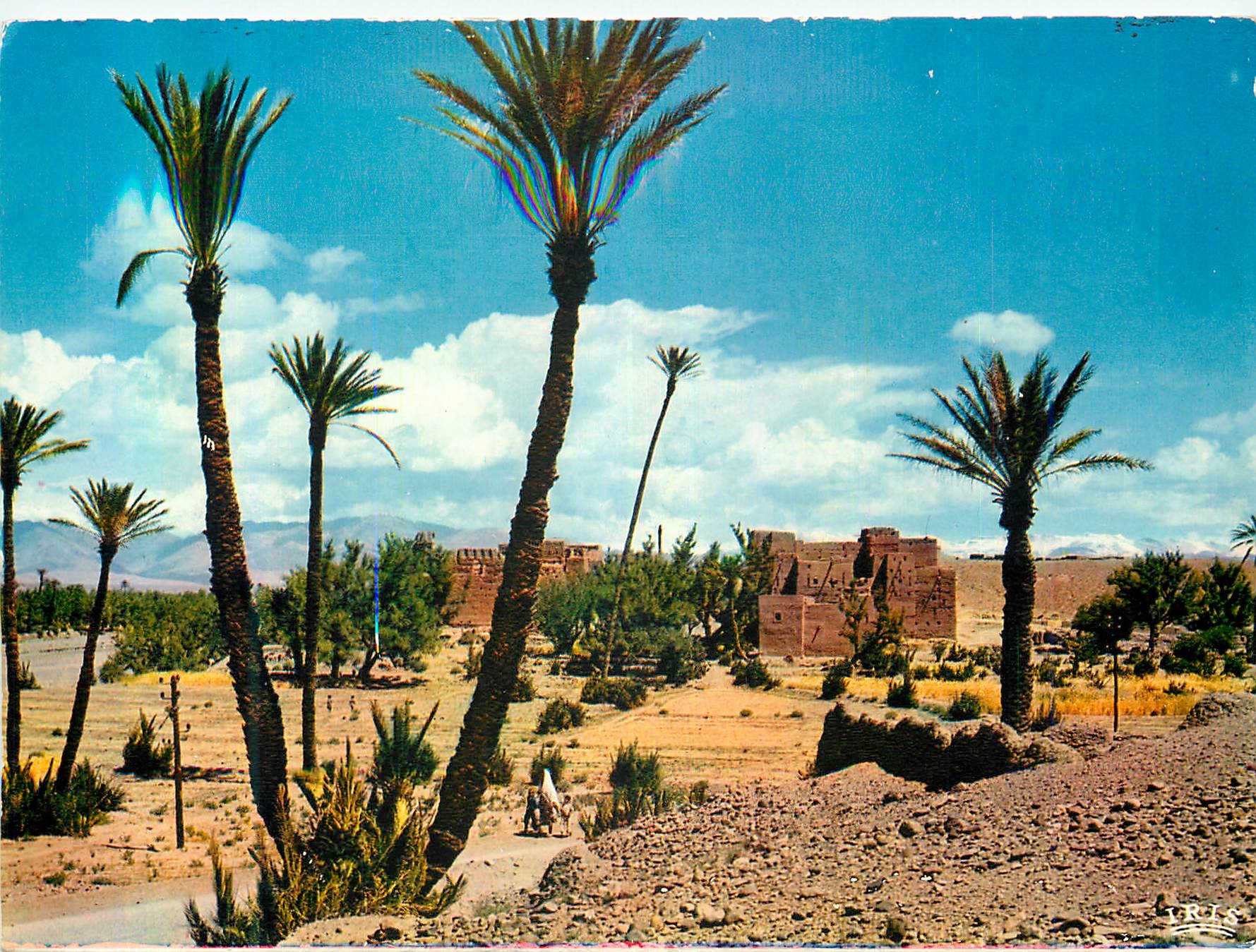 CPM Sud Marocain Region de Ouarzazate Un Oasis