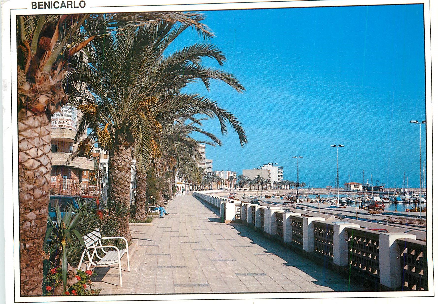 CPM Benicarlo (Castellon) Avenue Maritime