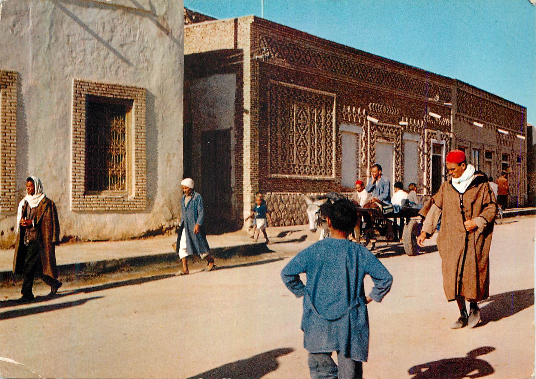 CPM Tunisie Tozeur Maisons Typiques a Decor de Briques Ane Donkey