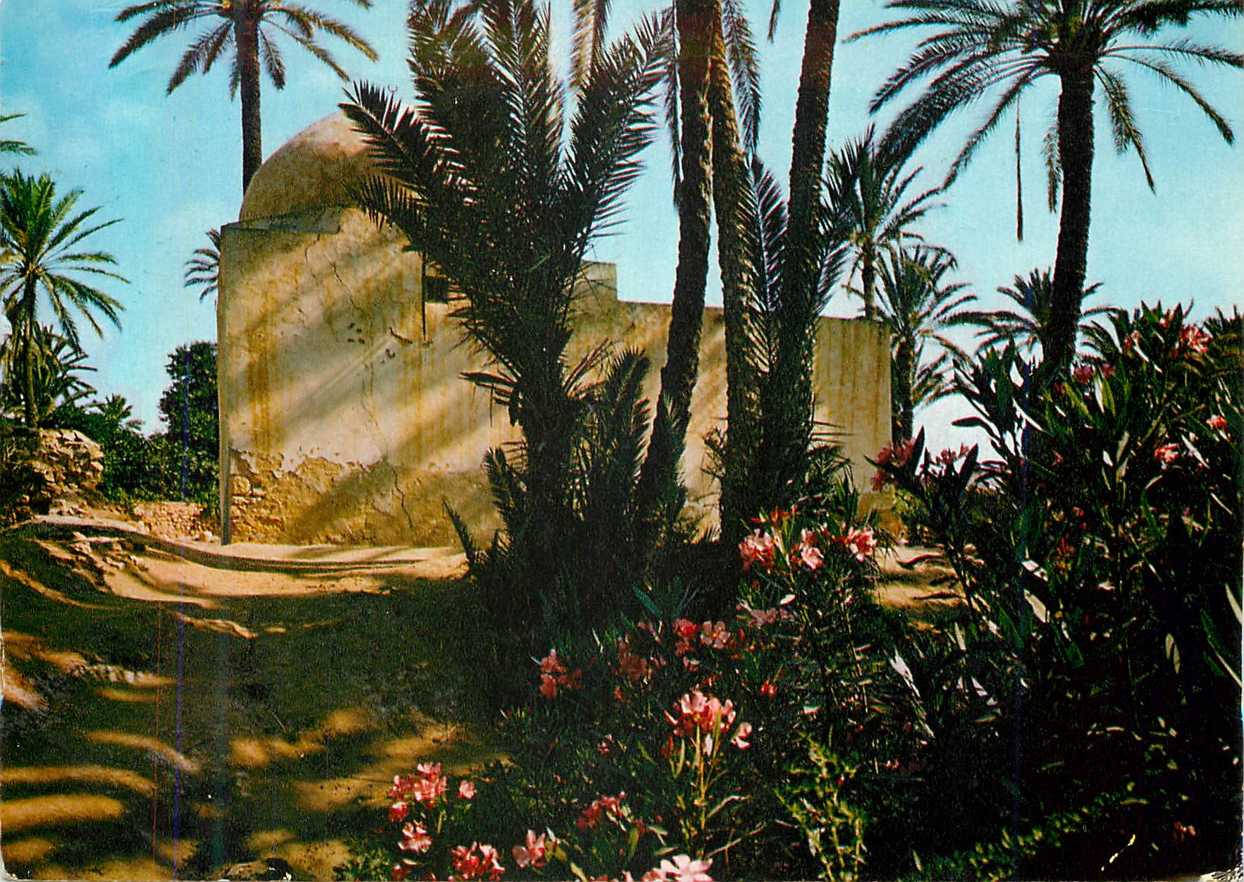 CPM Tunisie Gables Marabout dans la Palmeraie