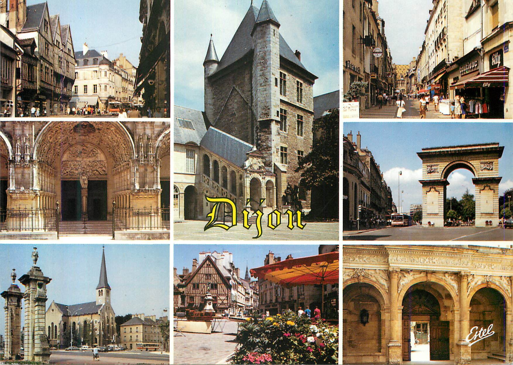 CPA Dijon (Cote d'Or) Au Pays des Grands Crus Divers Aspects